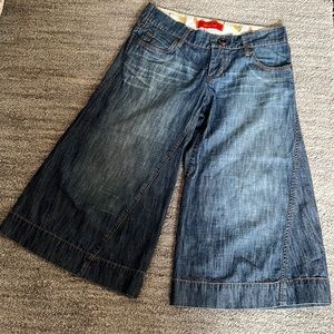 Level 99  Anthropologie gauchos (wide leg) crops